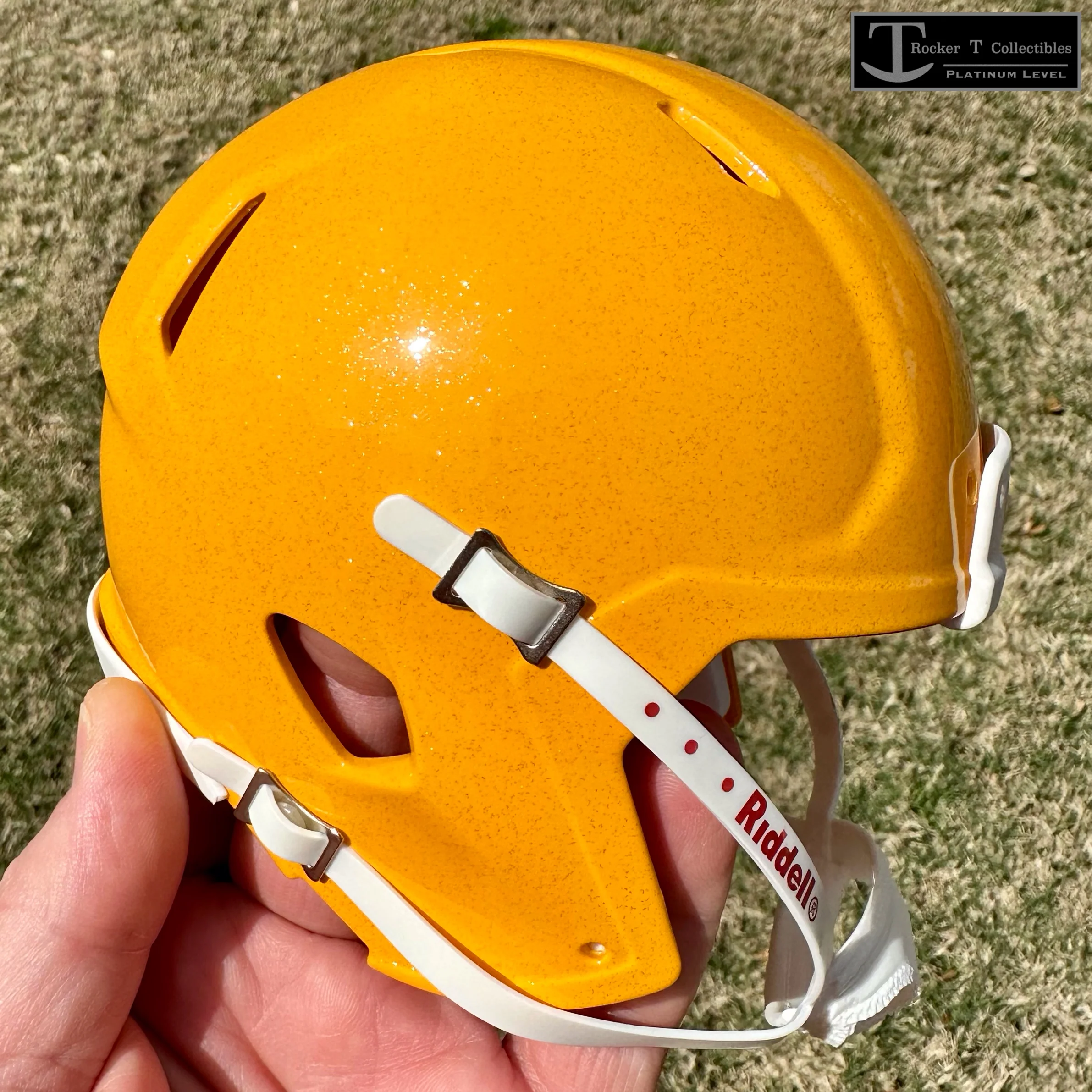 Mini Football Helmet Shells (Platinum Level) - Image 32